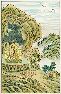 Gautama: Buddha Enlightened