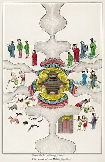 Rebirth: The Buddhist concept of reincarnation