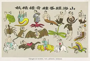Reincarnation: Buddhist concept of reincarnation