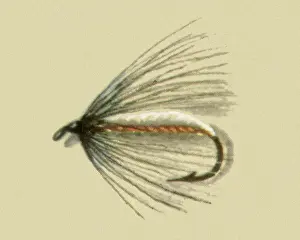 Atherton: Buddy Mite Fly