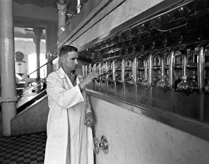 Budweiss: Budvar beer brewery - bosh - beer - production