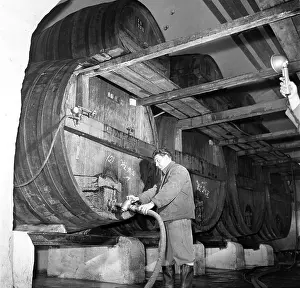 Mevald: Budweis - beer brewery Samson