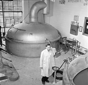 Mevald: Budweis - beer brewery Samson