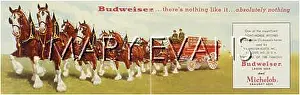 Budweiser: BUDWEISER HORSE-WAGON