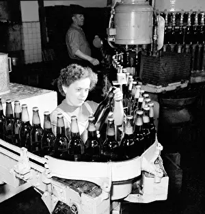 Finda: Budweisser - Budvar - beer brewery