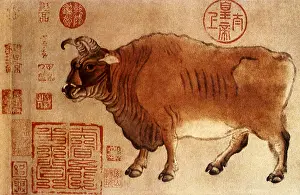 Huang: Buffalo with Asian Script