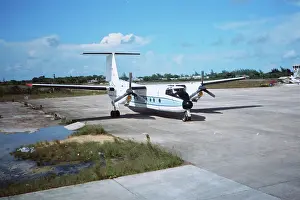 Ladyville: Buffalo at Belize