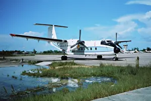 Ladyville: Buffalo at Belize