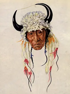 Winold: Buffalo Body