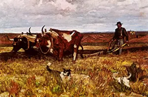 Plow: Buffalo Bones are Plowed Under