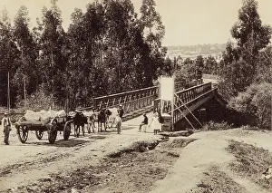 Herdsmen: Buffalo Bridge, King William's Town