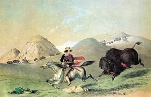 Frontiersman: Buffalo Bull Chasing Back, 19th Century