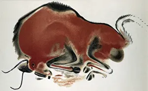 Wallpainting: Buffalo in the cave of Altamira