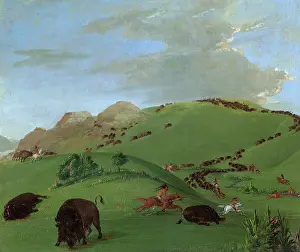 Catlin: Buffalo Chase, Mouth of the Yellowstone
