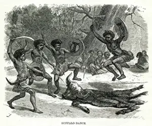 Galla: Buffalo dance