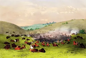 Buffaloes: The Buffalo Hunt