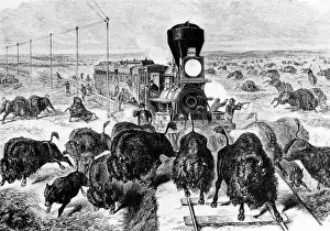 Kansas: Buffalo hunt in America, circa 1872