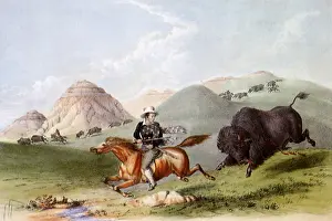 Chased: Buffalo Hunt, Chasing Back, by George Catlin