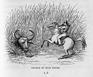Buffaloes: Buffalo and hunter on horseback, Sri Lanka