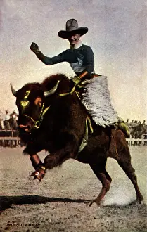 Rodeo: Buffalo Rodeo