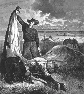 Skinner: Buffalo Skinner, 1874