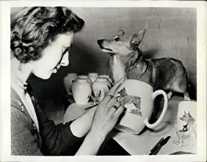 Glassware: Buffer the corgi poses for pottery design