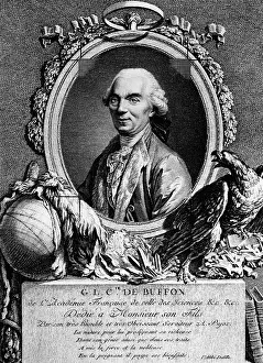 Buffon: Buffon, Georges Louis Leclerc Comte de, 7.9.1707