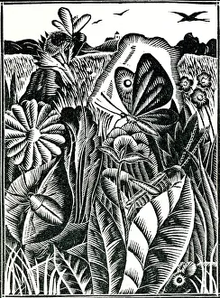 Fertile: Bugs, butterflies and birds