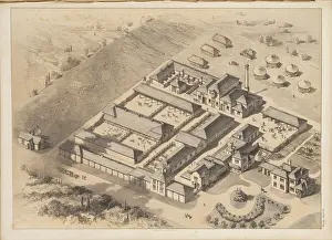 Longman: Buildings at Home Park, Windsor