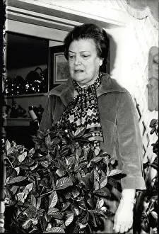 Amalia: Bulgaria - Greece