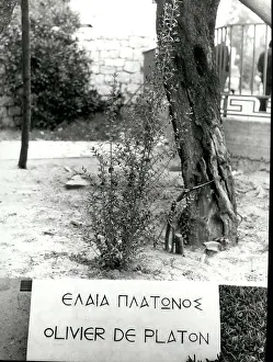 Careful: Bulgaria - Greece