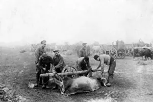 Improvised: Bulgarian farrier at work at the Balkanfront, 1917