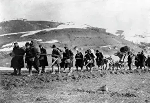 Forage: Bulgarian troops in the Balkans, 1916