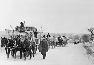 Settled: Bulgarians emigrate from Romania, 1940