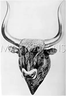 Minos: BULL DRINKING VESSEL