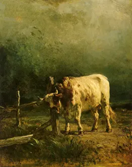 Rubbing: The Bull, Effect Storm