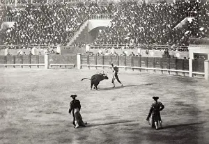 Cordoba: Bull fighting in Cordoba, Spain