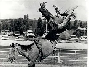 Firs: Bull Fighting - Rodeo