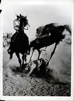 Horrified: Bull Fighting - Rodeo