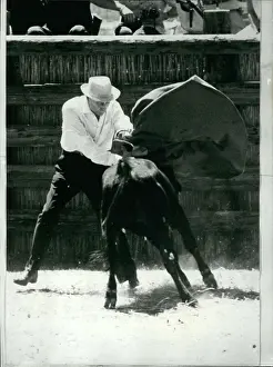 Corrida: Bull Fighting - Rodeo