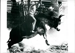 Rodeo: Bull Fighting - Rodeo