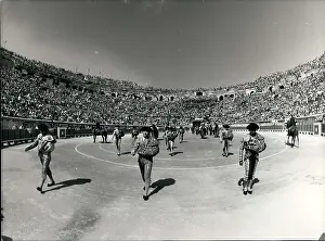 Nimes: Bull Fighting - Rodeo