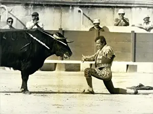 Benitez: Bull Fighting - Rodeo