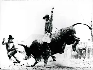 Dealing: Bull Fighting - Rodeo