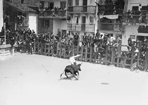 Tackles: BULL FIGHTING IN SPAIN