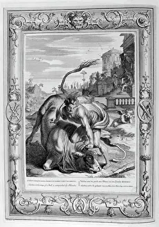 Muses: The bull is killed by Hercules. Engraving from