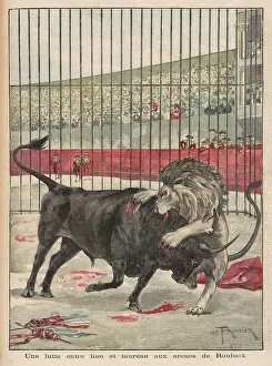 Toreadors: BULL AND LION FIGHT