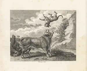John Wootton: The Bull and the Mastiff