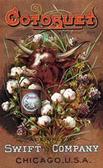 Pail: Bull with Pail