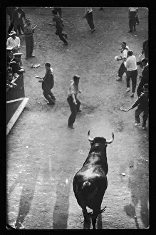 Pamplona: BULL RUNNING / PAMPLONA